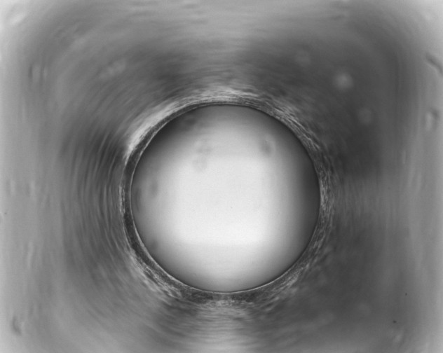X0000100220244200805300753