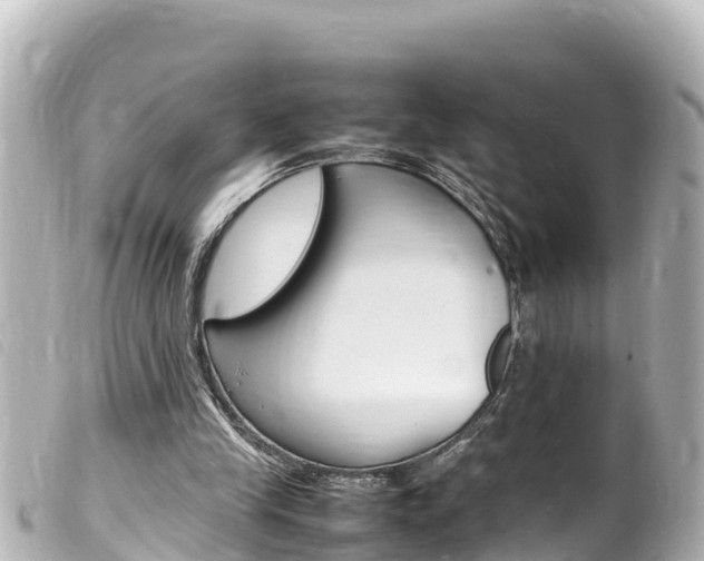 X0000100220245200805300753