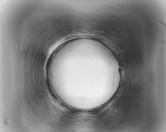 X0000100220246200805300753