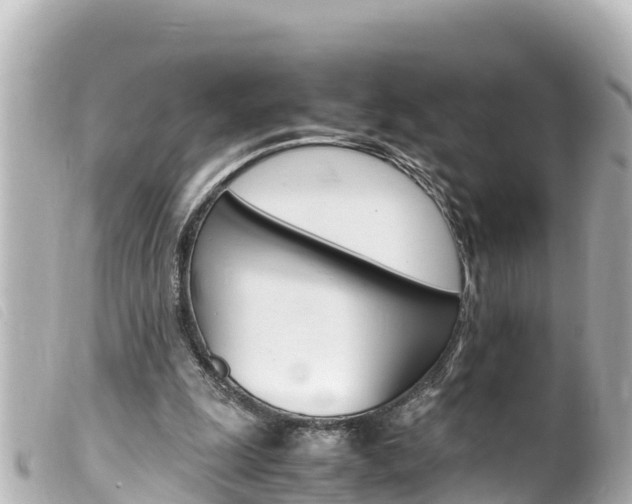 X0000100220247200805300753