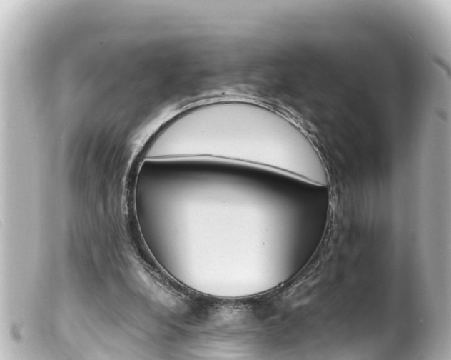 X0000100220248200805300753