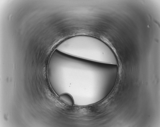 X0000100220249200805300753