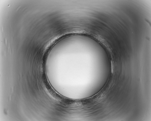 X0000100220252200805300753
