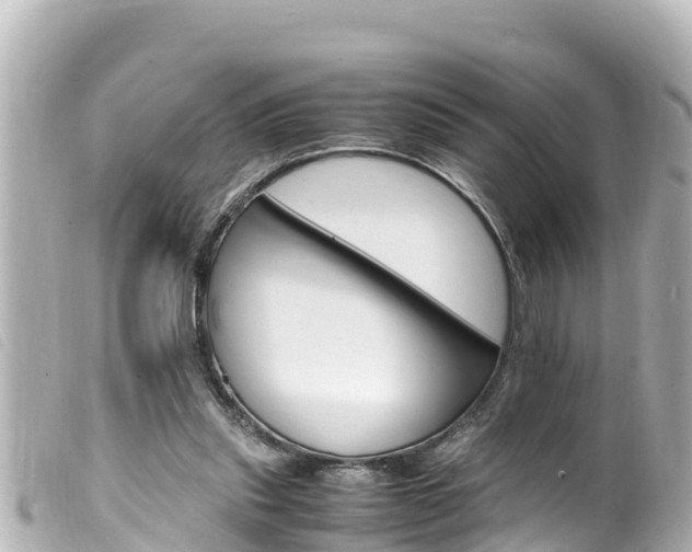 X0000100220253200805300754