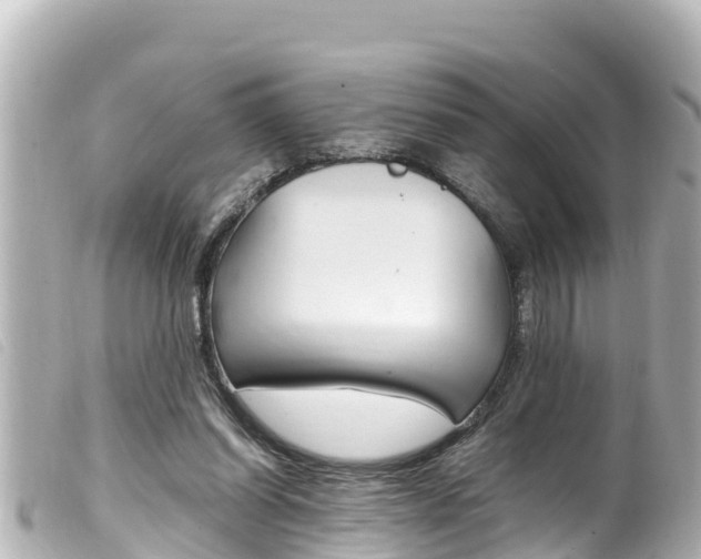 X0000100220254200805300754