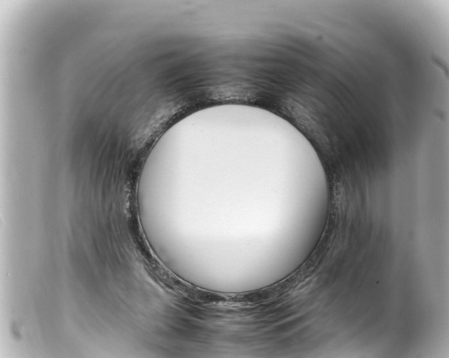 X0000100220255200805300754