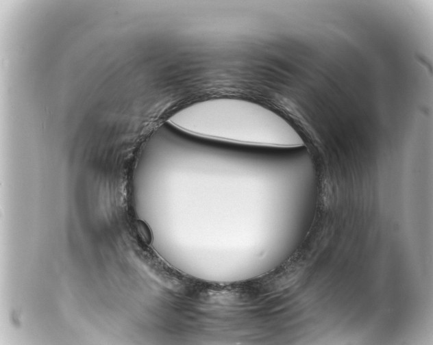 X0000100220259200805300754