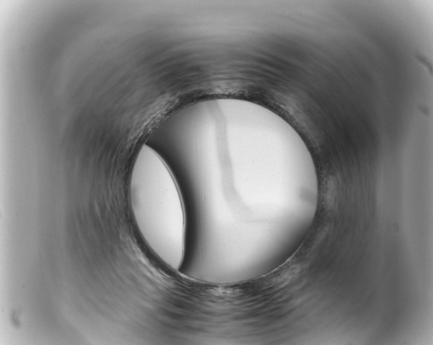 X0000100220261200805300754