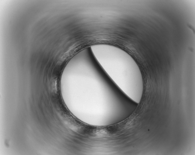 X0000100220262200805300754