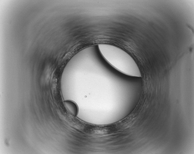 X0000100220263200805300754