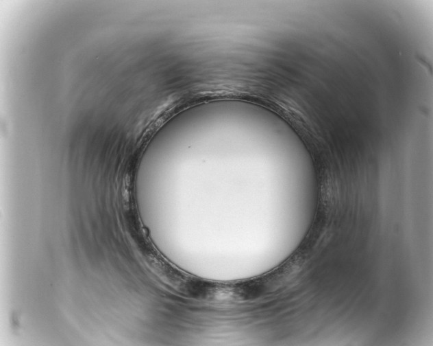 X0000100220264200805300754