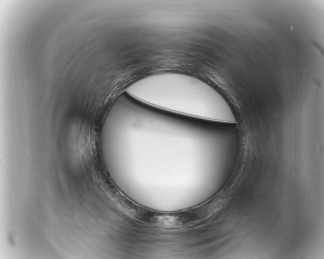 X0000100220265200805300754