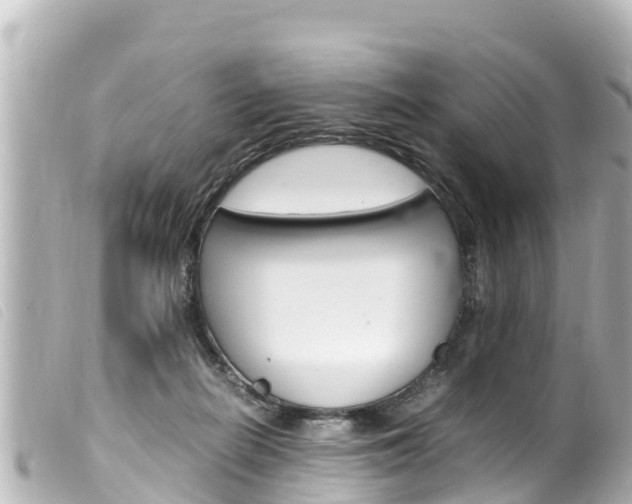 X0000100220266200805300754