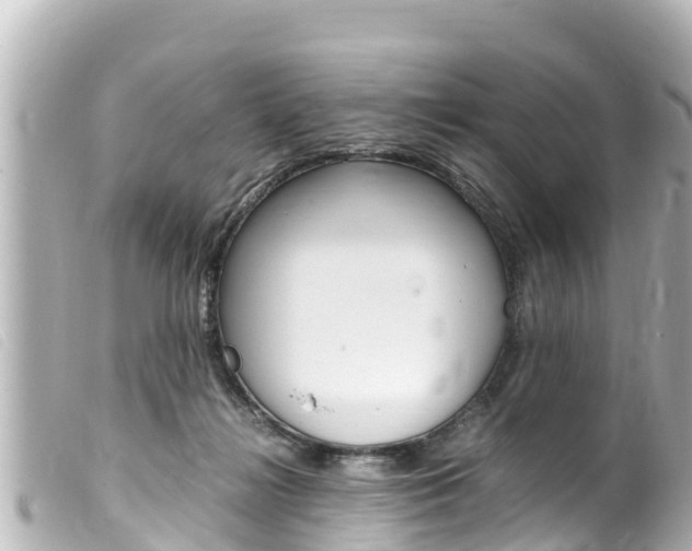 X0000100220268200805300754