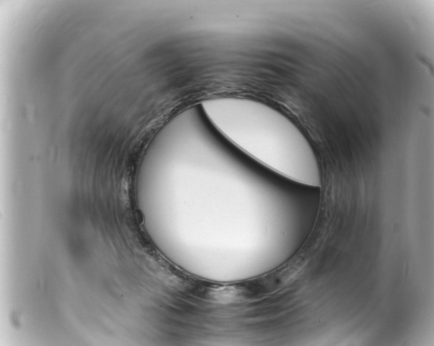 X0000100220269200805300754