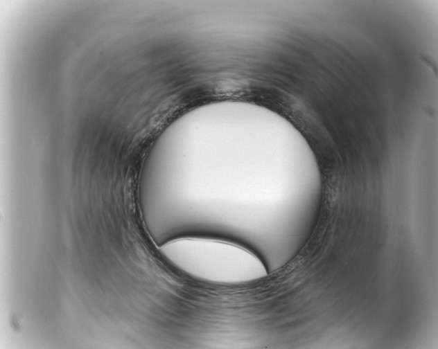 X0000100220270200805300754