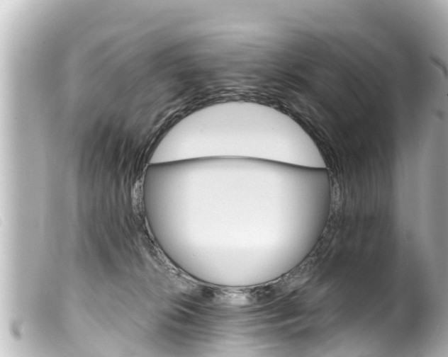 X0000100220276200805300754
