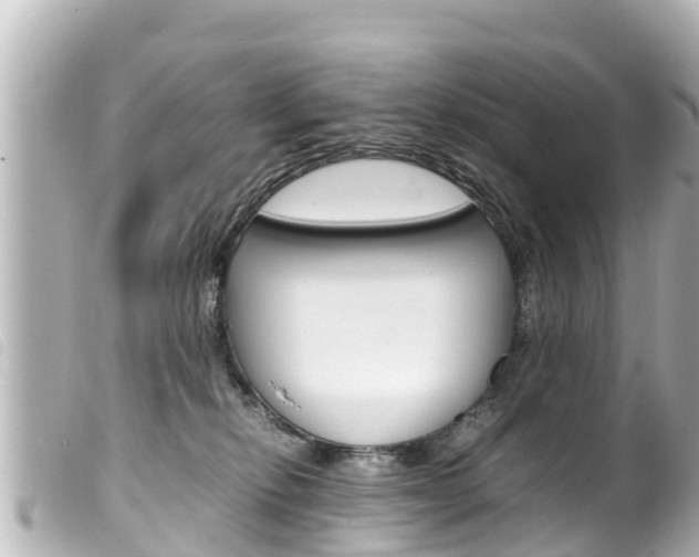 X0000100220278200805300754