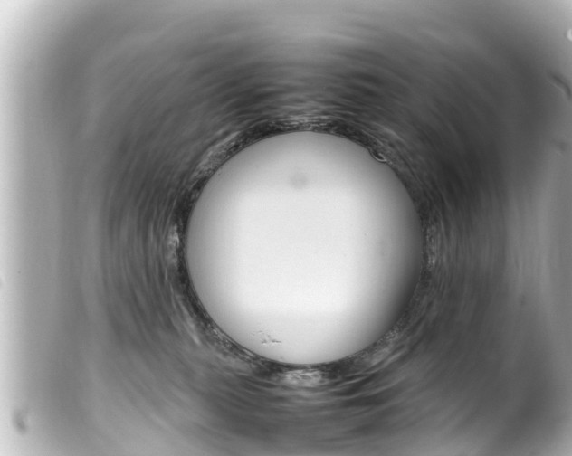 X0000100220279200805300754
