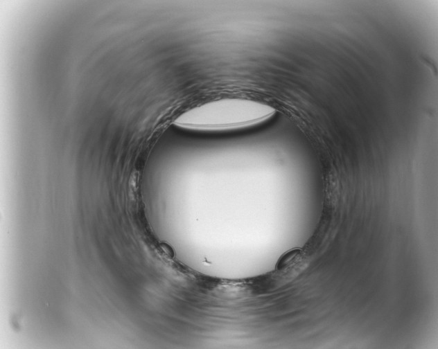 X0000100220280200805300754