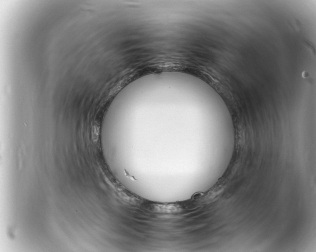 X0000100220281200805300754