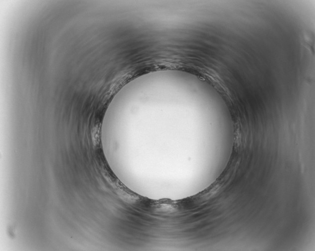 X0000100220285200805300754