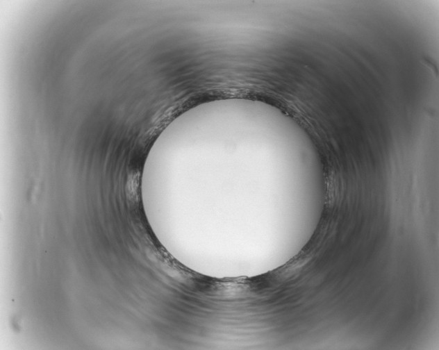 X0000100220286200805300754
