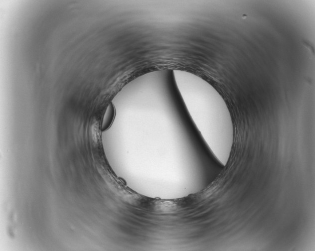 X0000100220287200805300754