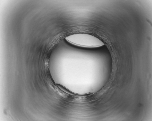 X0000100220288200805300754