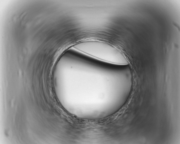 X0000100220289200805300753