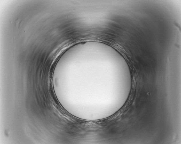 X0000100220290200805300753