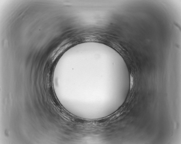 X0000100220291200805300753