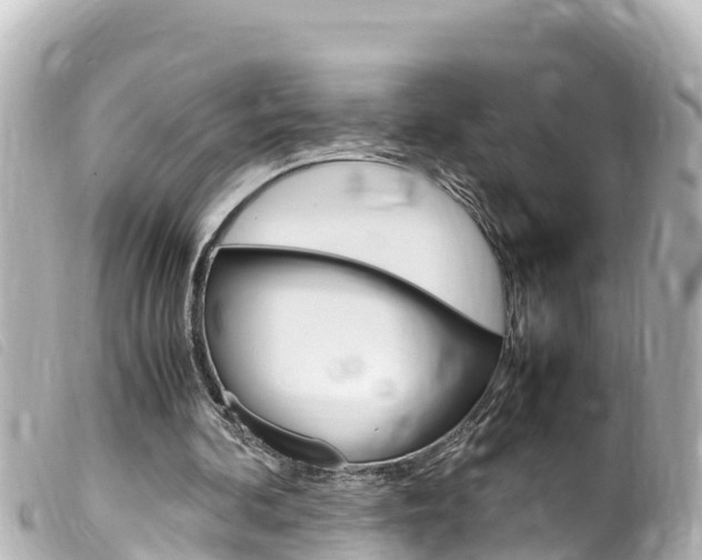 X0000100220292200805300753