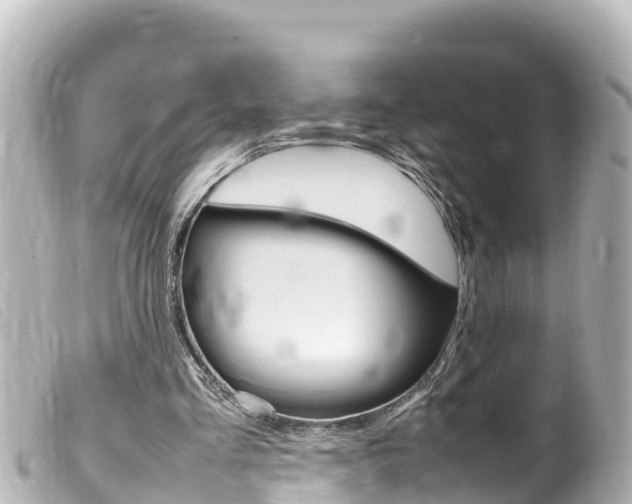 X0000100220293200805300753