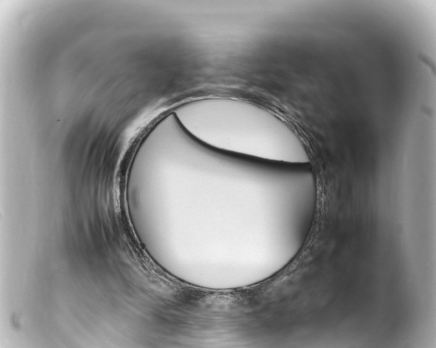 X0000100220294200805300753