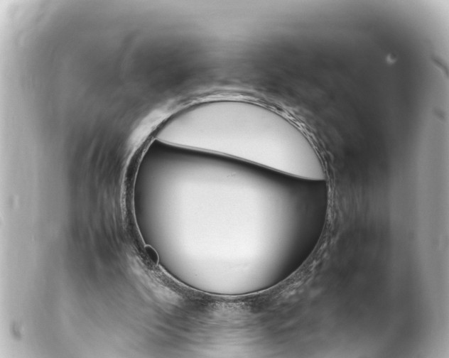 X0000100220296200805300753