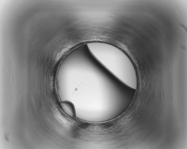 X0000100220299200805300753
