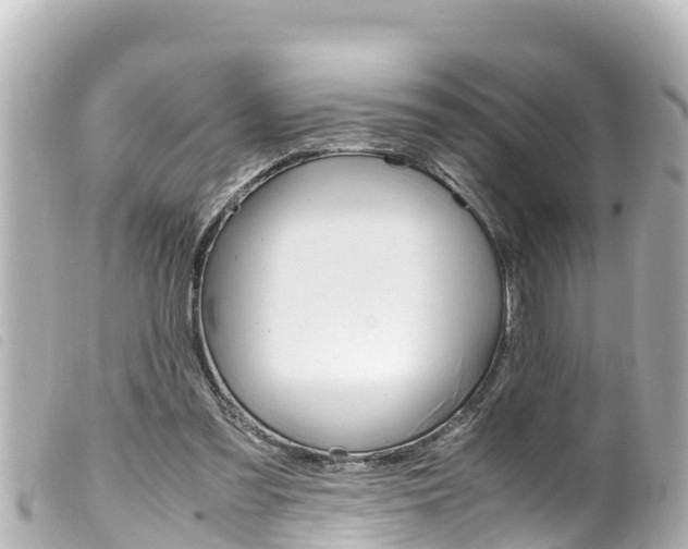 X0000100220301200805300753