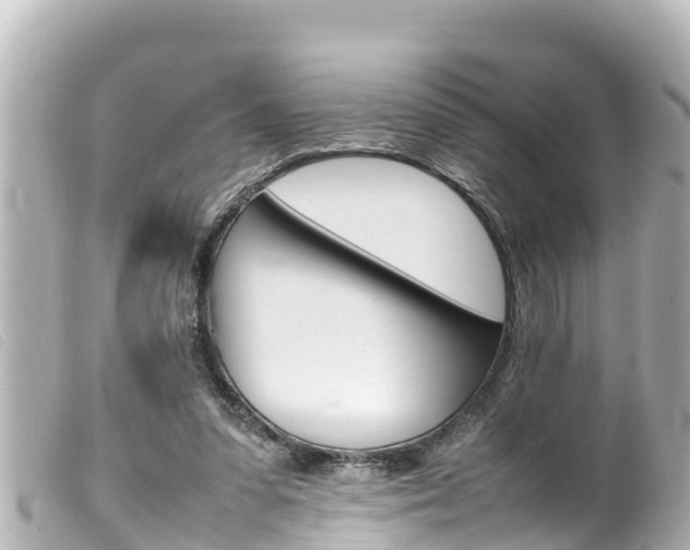 X0000100220303200805300753