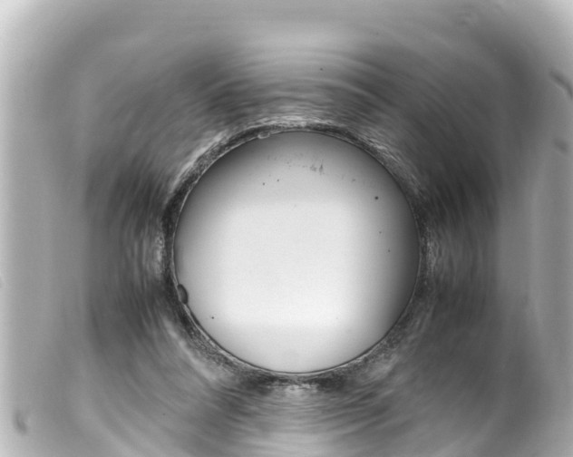 X0000100220304200805300753