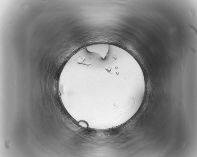 X0000100220305200805300753