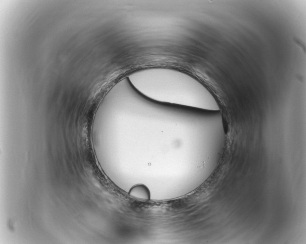 X0000100220306200805300753