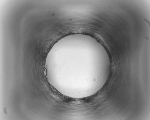 X0000100220307200805300753