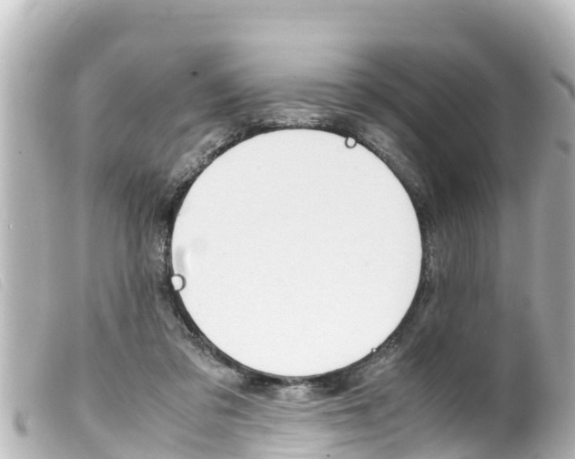 X0000100220309200805300753