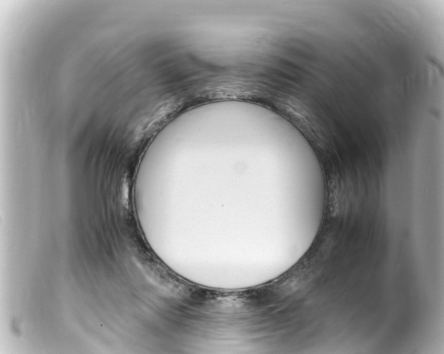 X0000100220310200805300753