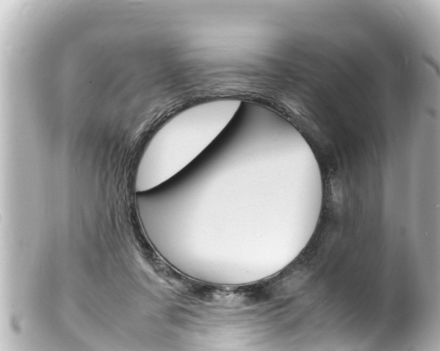 X0000100220311200805300753