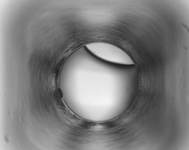 X0000100220312200805300753