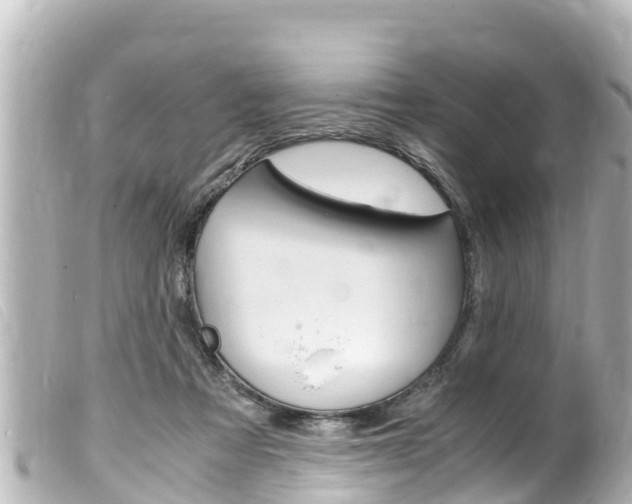 X0000100220313200805300753