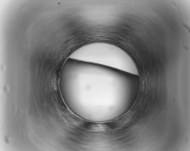 X0000100220316200805300753