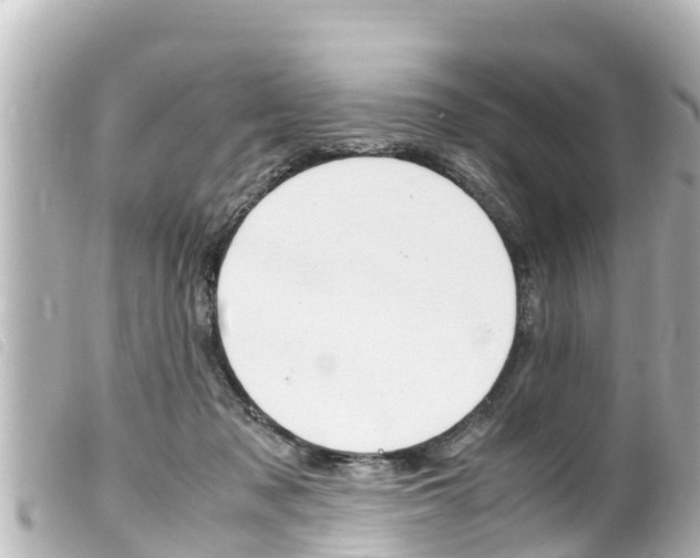 X0000100220317200805300753